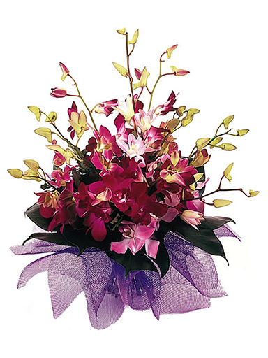 Places To Buy Flowers Online In Australia