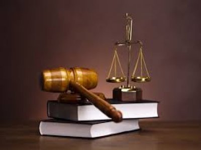 What Are The Different Branches Of Law