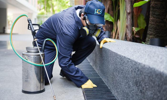When To Hire A Pest Control Company