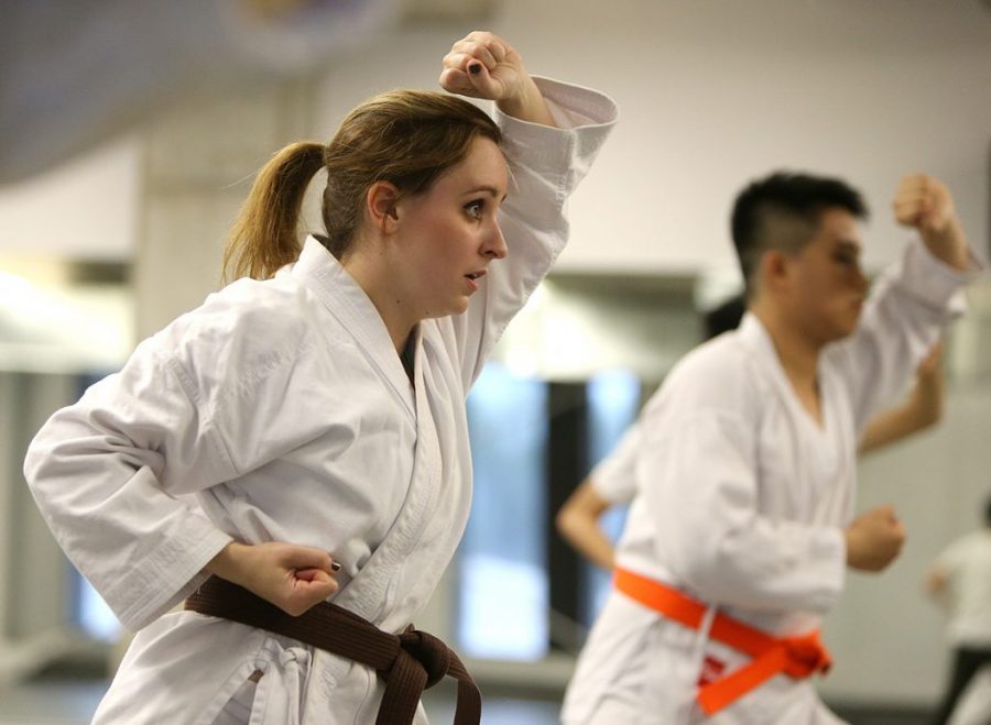 Role Of Martial Arts Schools For An Exhaustive Training