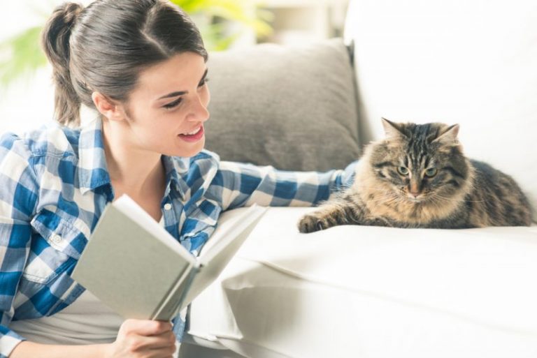 Keeping Your Cat Healthy and Happy Indoors